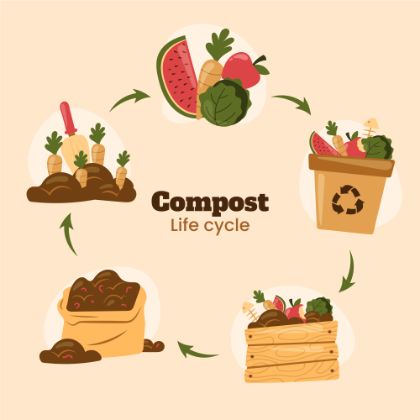 Compostaggio domestico dei rifiuti organici