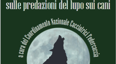 report sulla predazione del lupo sui cani